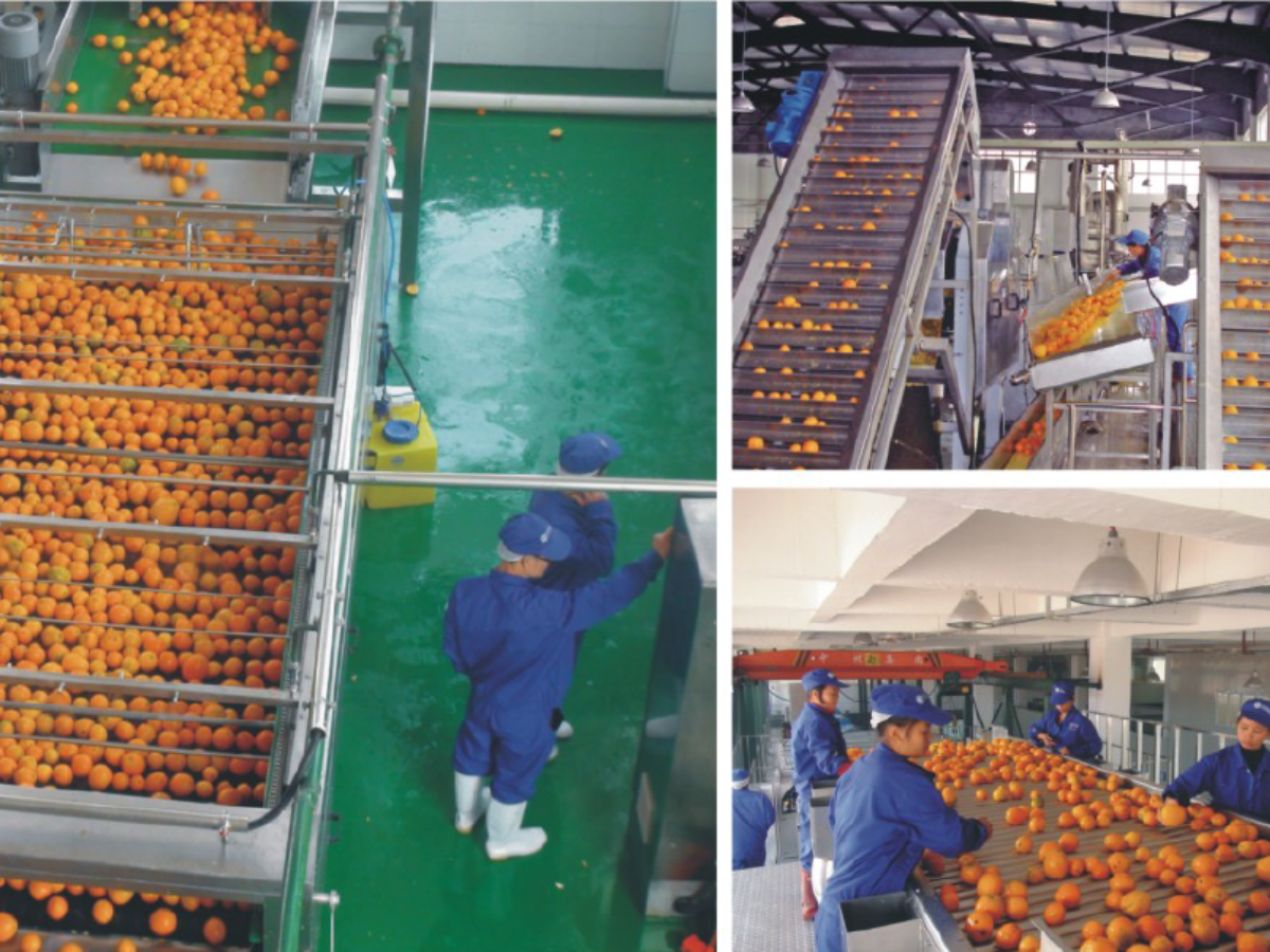 The juice concentrates industry